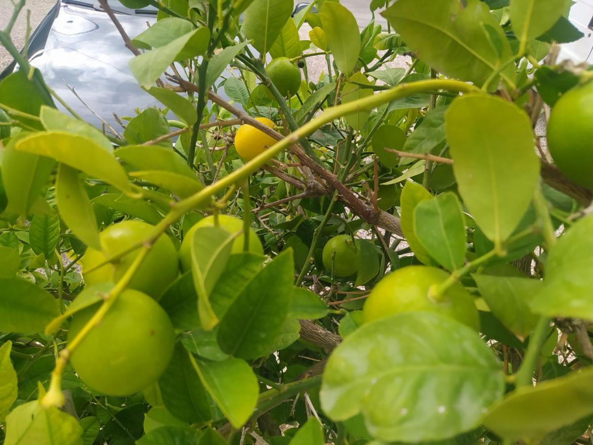 Apartmani Trubi 2 Vodice Luaran gambar